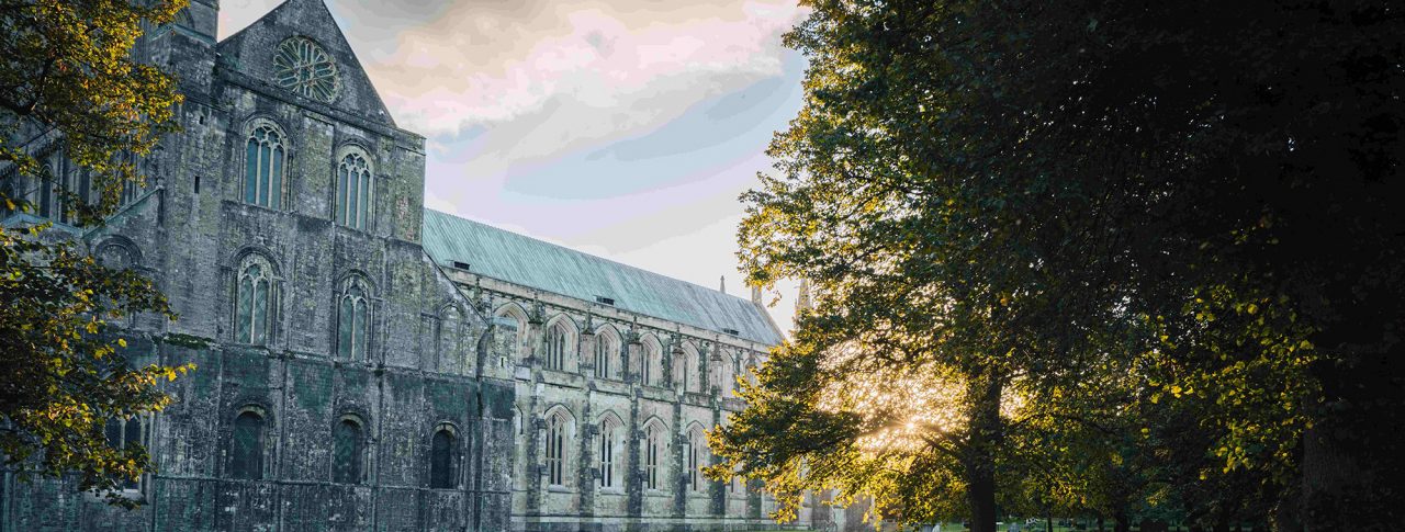 Winchester Cathedral, Hampshire. Photo taken from the lawn behind the cathedral as the sun is setting. Sunlight floods the image through large trees which frame the image.