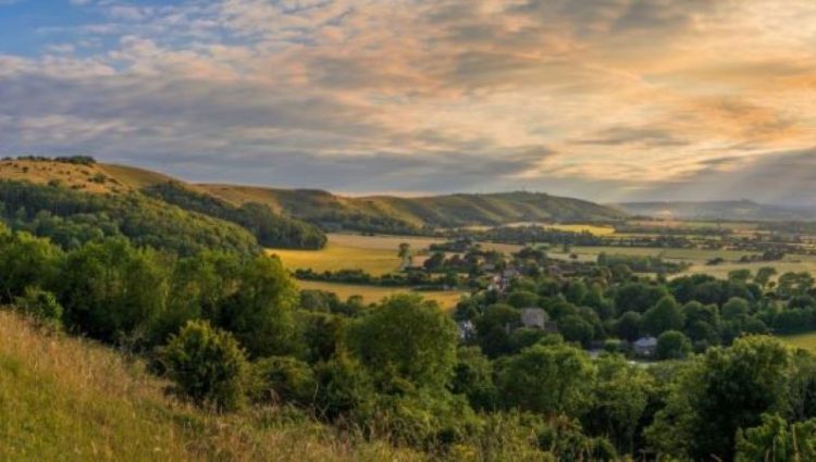 South downs landscape