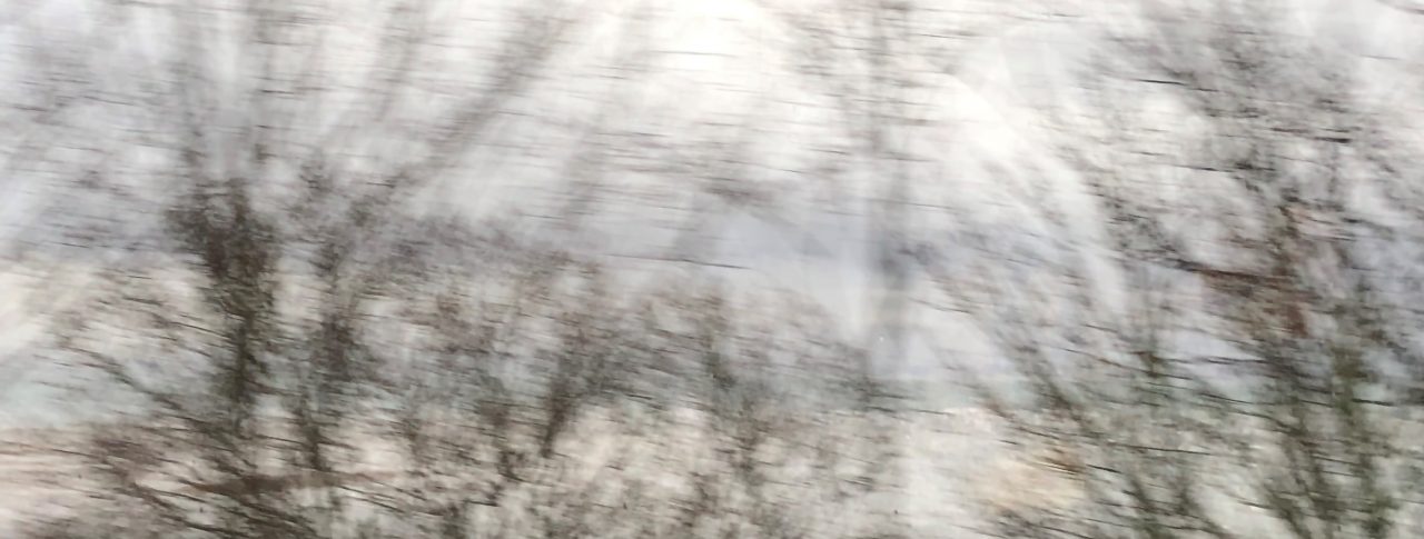 Blurred landscape with tree branches. It highlights hazy or cloudy vision such as cataracts or the feeling of the scratchy sensation you get with dry eyes. The branches are in various shades of brown, and they appear to be bare or with sparse foliage. The blurriness of the image suggests that it was taken from a moving vehicle or with a fast shutter speed, capturing the motion of the trees as they pass by. The sky above is partly cloudy, with patches of blue visible through the clouds. This image was taken on a moving train.